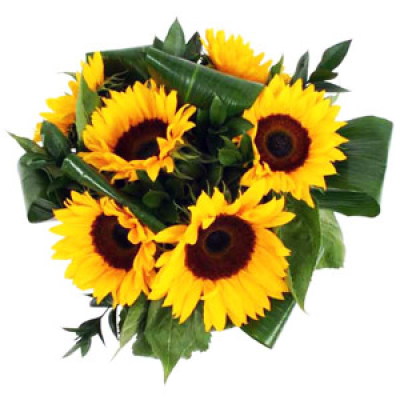 Sunflowers - Beautiful sunflowers. Note! Sunflowers are only available at certain times of the year. Please check with your florist before ordering.
